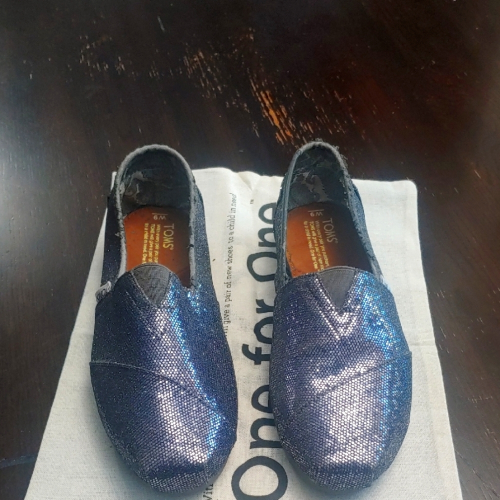 Tom's Classic Silver Slip-on